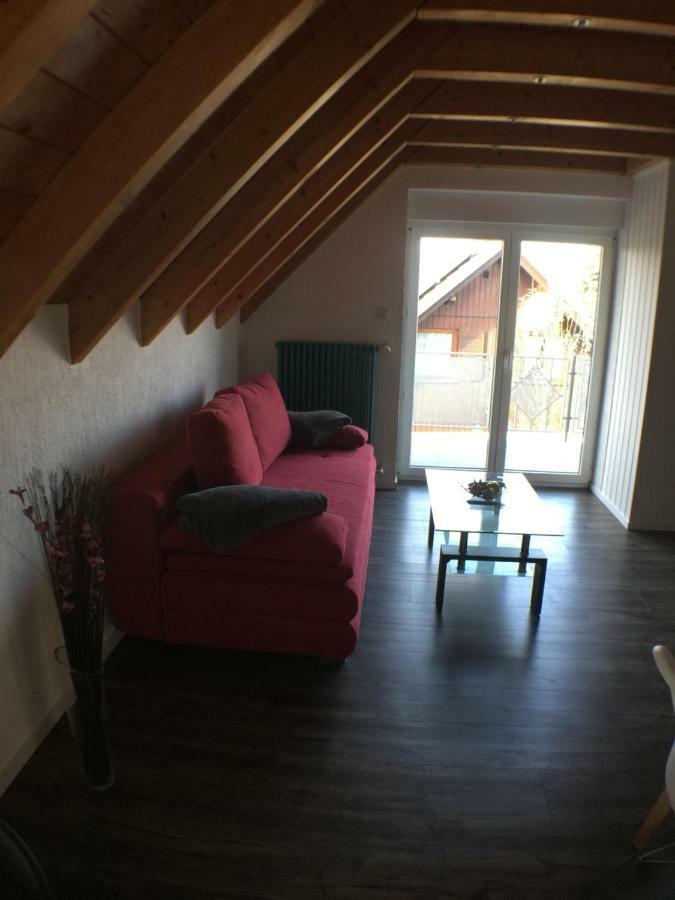 Ferienwohnung Alte B3 Ringsheim Εξωτερικό φωτογραφία
